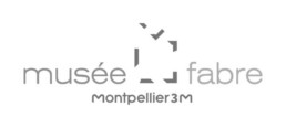 Musée Fabre Montpellier 3M